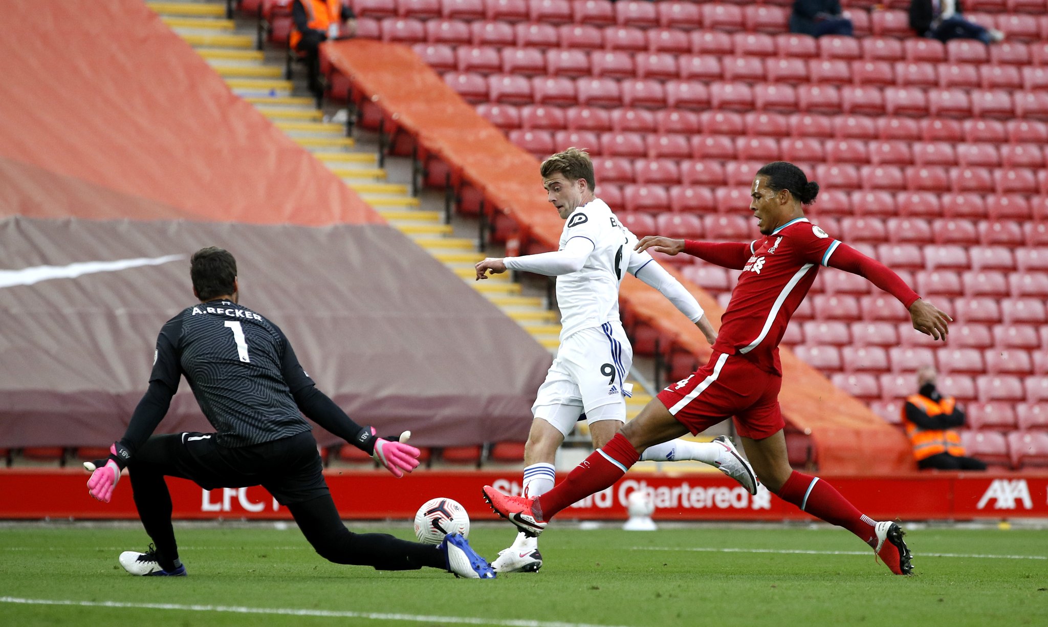 体防御质量 体防御质量